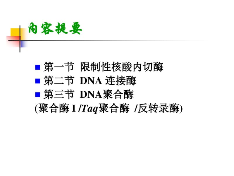 第二章各种工具酶.ppt.pdf_第2页