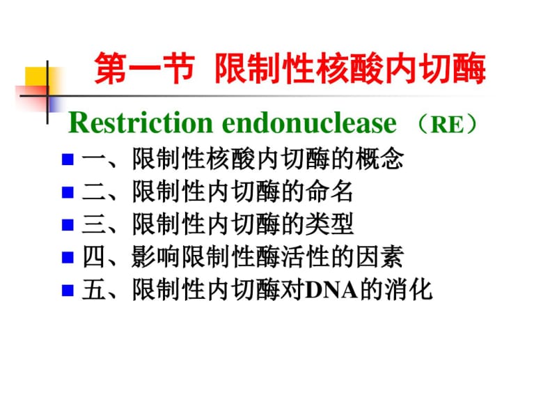 第二章各种工具酶.ppt.pdf_第3页