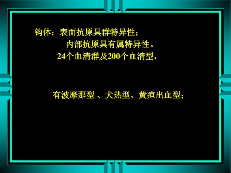 钩端螺旋体.pdf_第3页