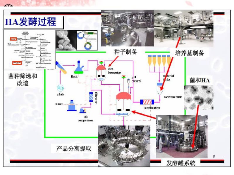 第七章发酵工艺控制.pdf_第1页