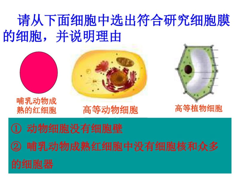 细胞膜系统的边界1PTT.pdf_第2页