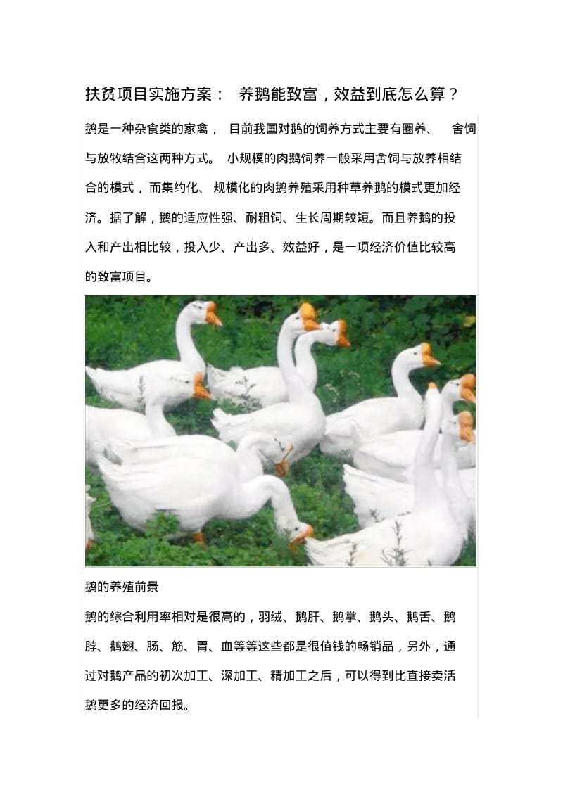 扶贫项目实施方案：养鹅能致富效益怎么算？.pdf_第1页