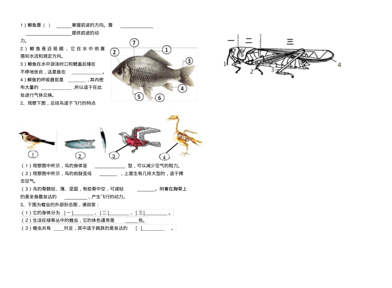 最新人教版八年级《生物》上册第五单元第一章测试题(含答案)名师制作优质教学资料.pdf_第3页