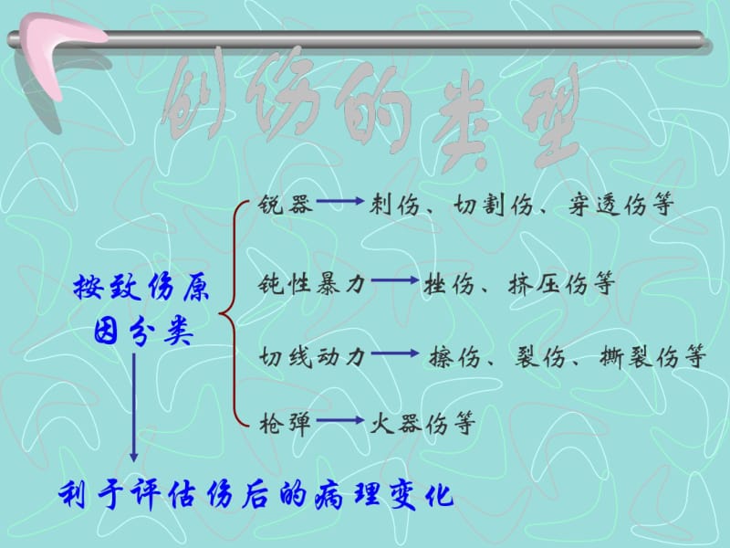 损伤病人的护理课件.pdf_第3页