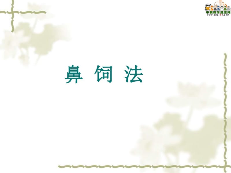 护理技术—鼻饲法课件.pdf_第1页