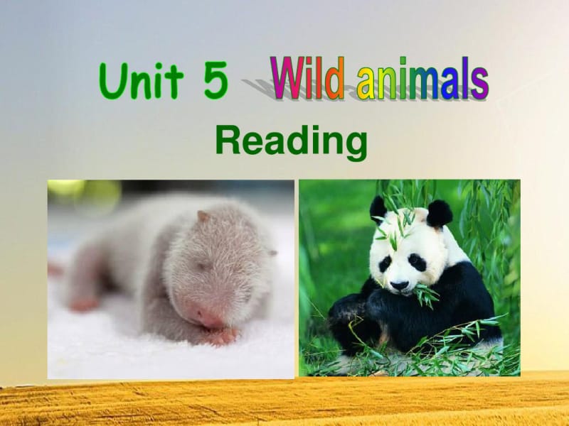 牛津译林版英语8AUnit5WildanimalsReading课件.pdf_第1页