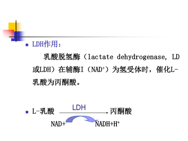 血清LDH及其同工酶测定.pdf_第2页