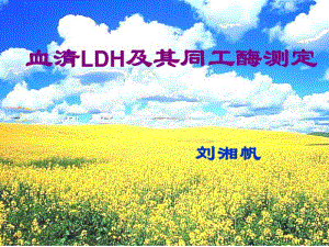 血清LDH及其同工酶测定.pdf