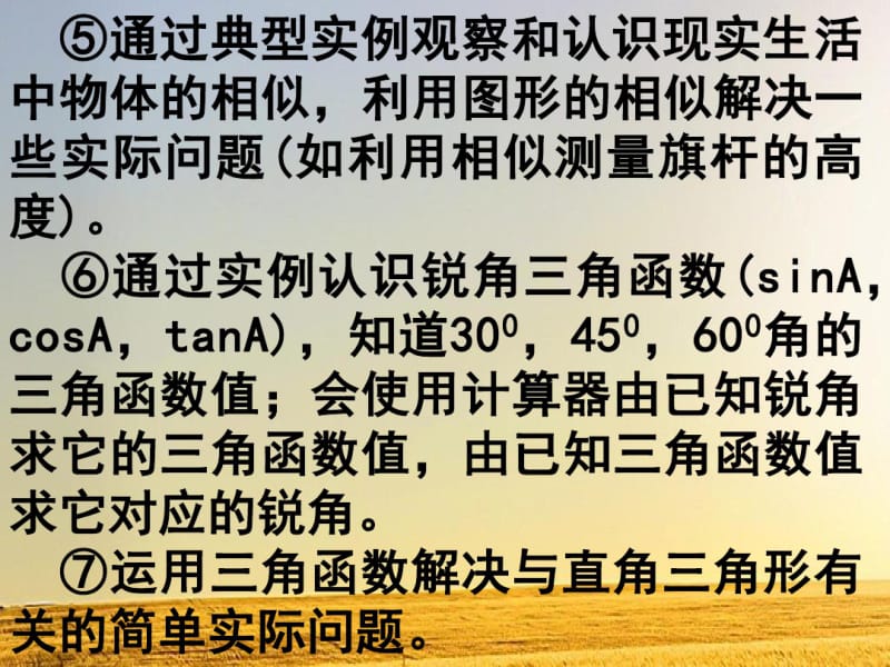 湘教版九年级数学上：第三章《图形的相似》复习课件(共23张).pdf_第3页