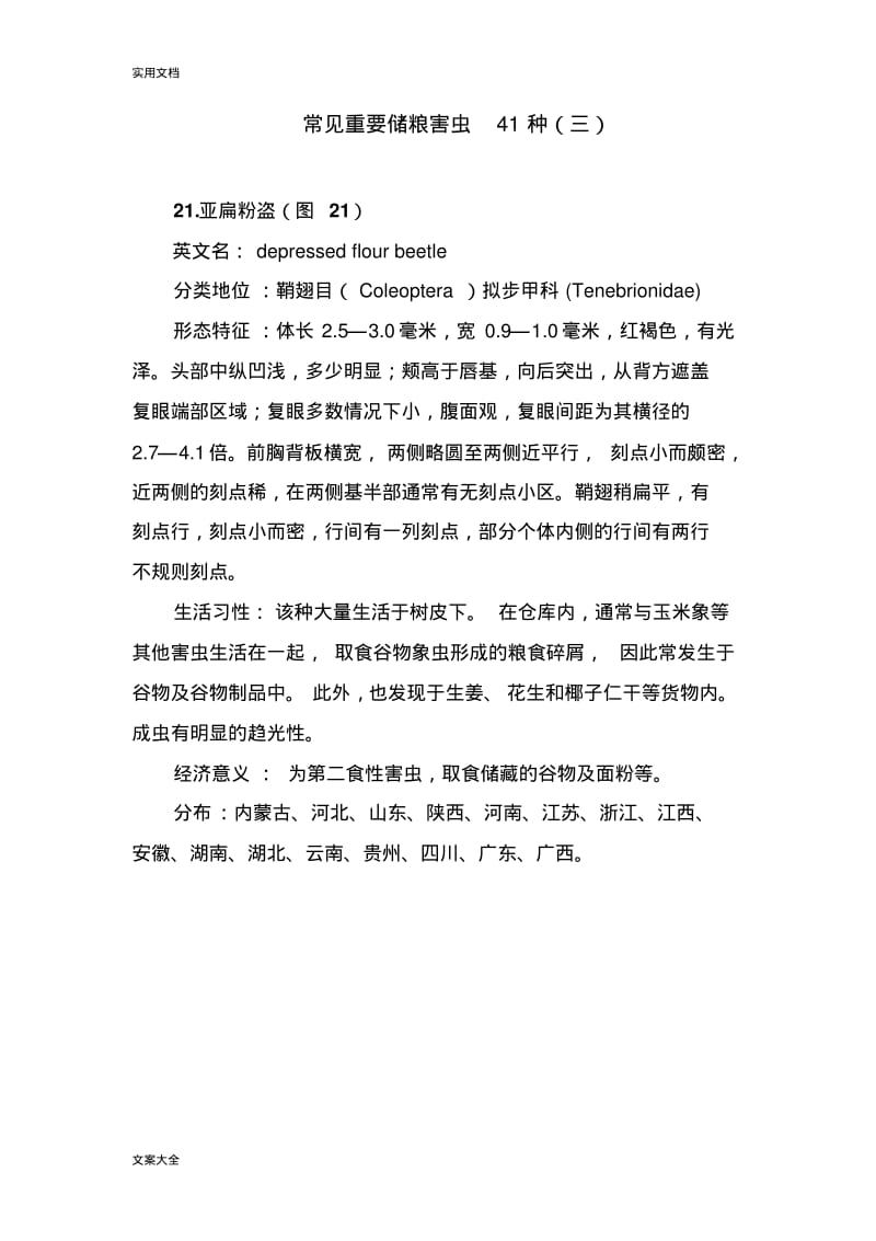 常见重要储粮害虫41种(三).pdf_第1页