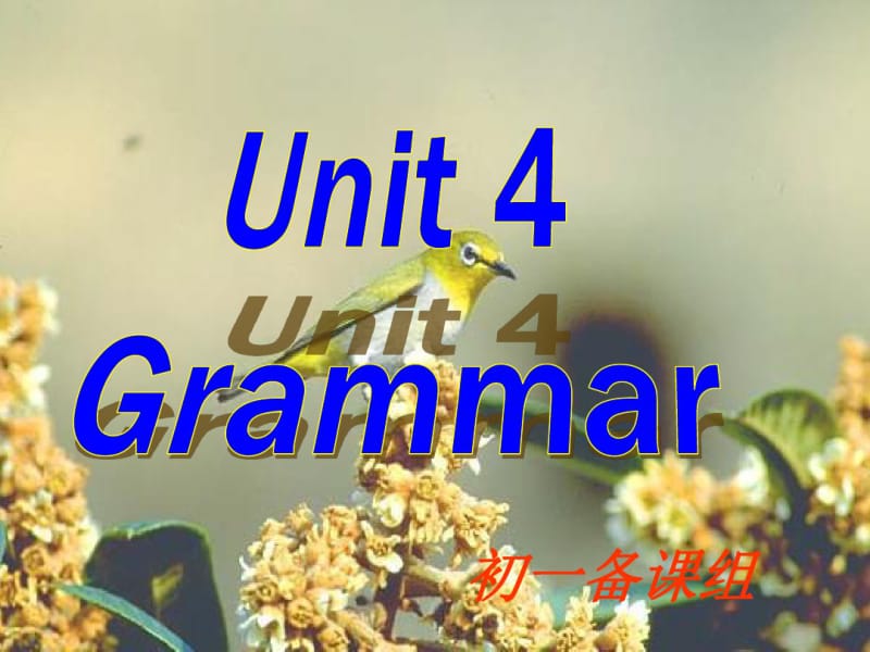 牛津译林版7AUnit4MydayGrammar课件(共23张).pdf_第1页