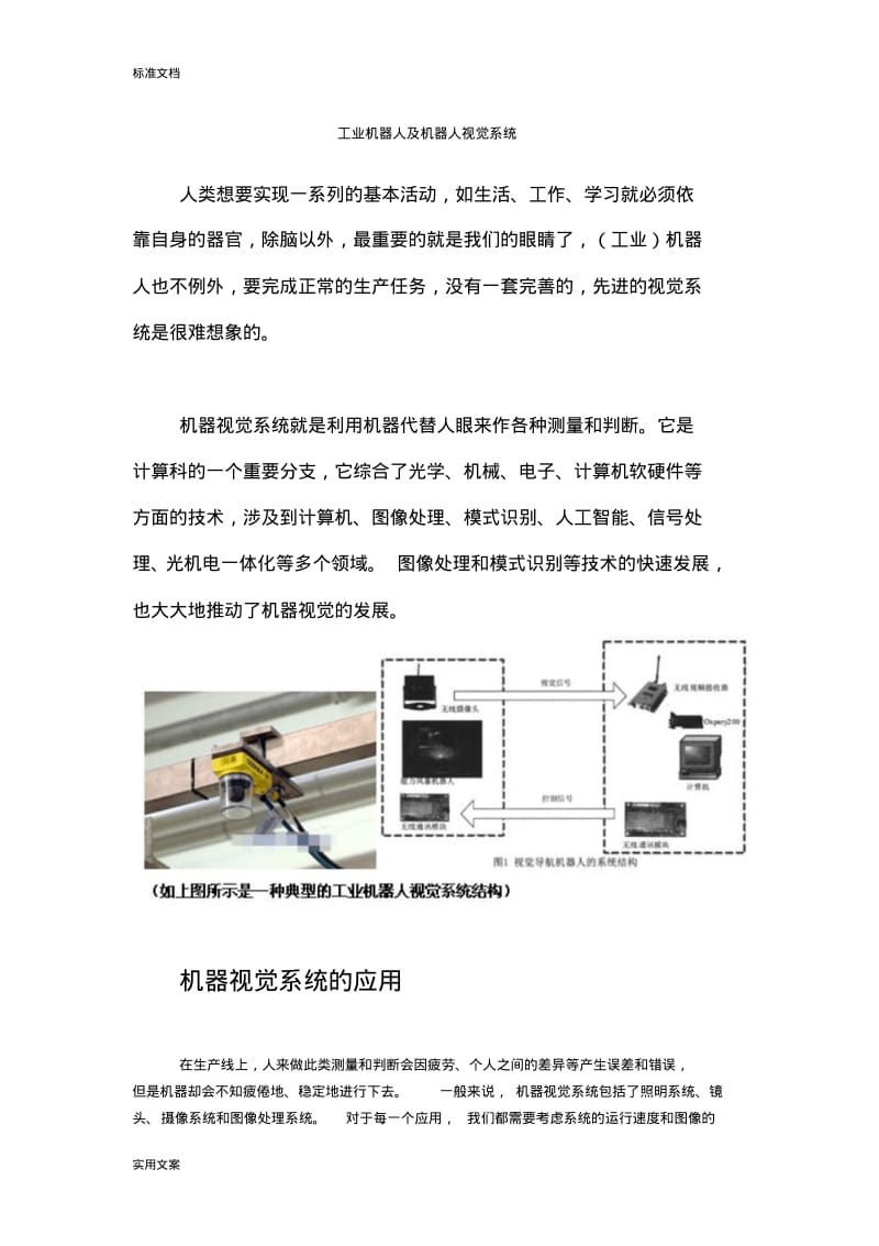 工业机器人视觉系统.pdf_第1页