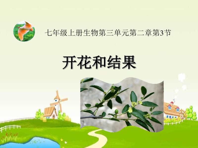 鲁科版生物六年级下册3.2.3《开花和结果》ppt课件2.pdf_第1页