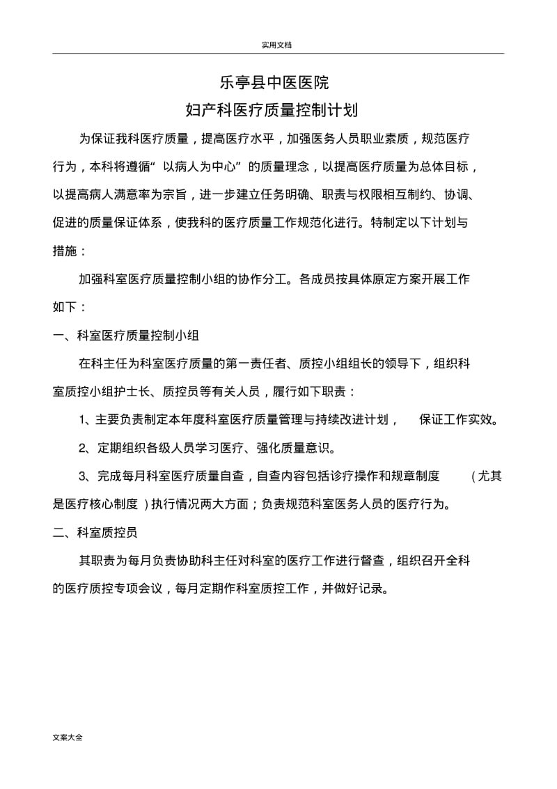 妇产科医疗高质量持续改进记录簿.pdf_第3页