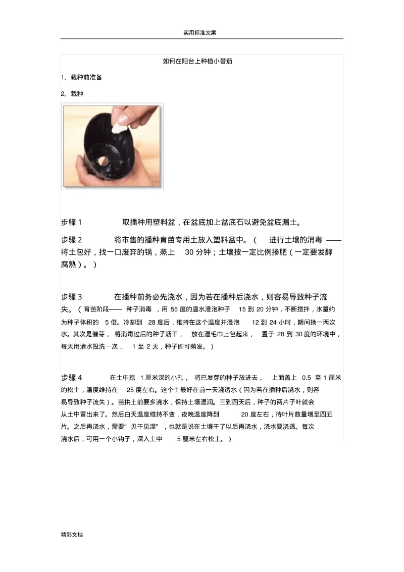 阳台小番茄地种植.pdf_第1页