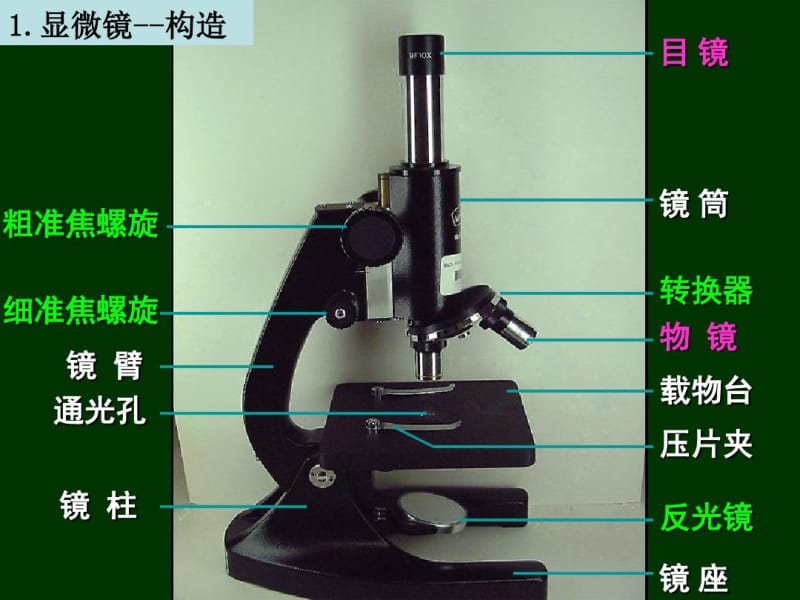 第二单元生物体的结构层次》单元复习.pdf_第3页