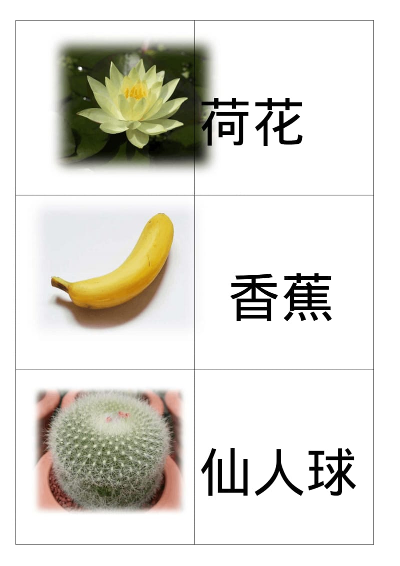 自制幼儿识字卡片(一).pdf_第2页