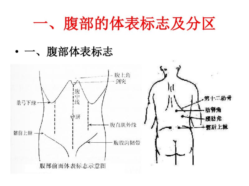 腹部检查课件.pdf_第3页