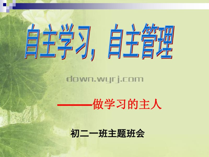 自主管理班会.pdf_第2页