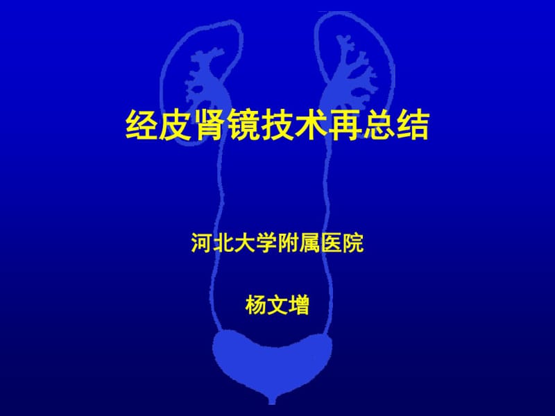 经皮肾镜技术再总结讲解.pdf_第1页