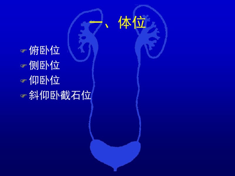 经皮肾镜技术再总结讲解.pdf_第3页