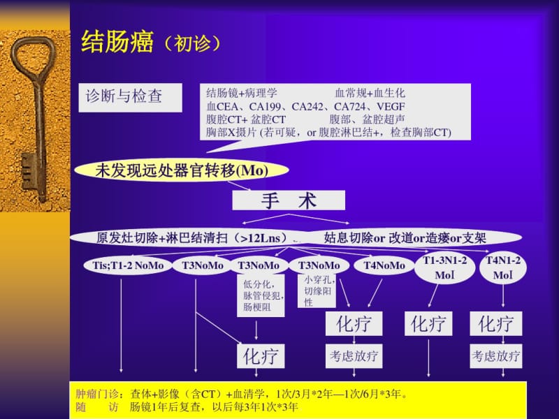 肿瘤诊断与治疗指南.pdf_第2页