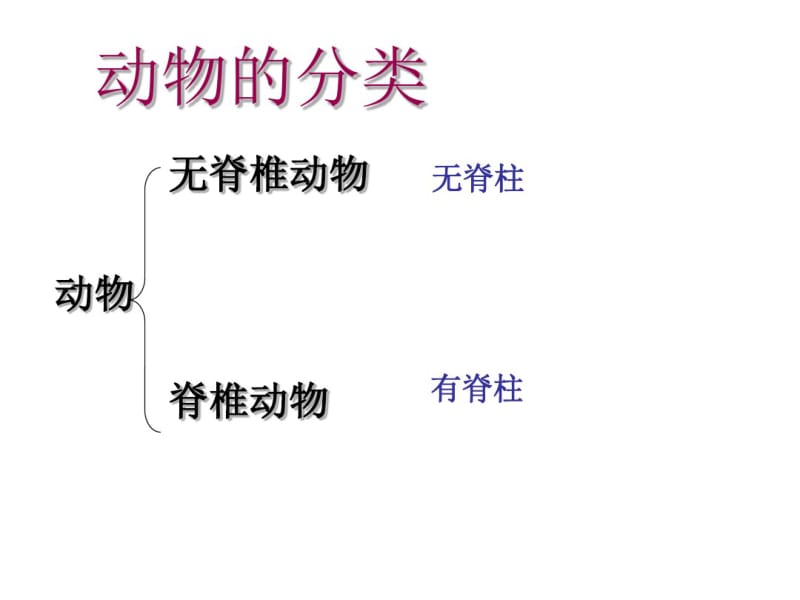 脊椎动物复习课.pdf_第2页