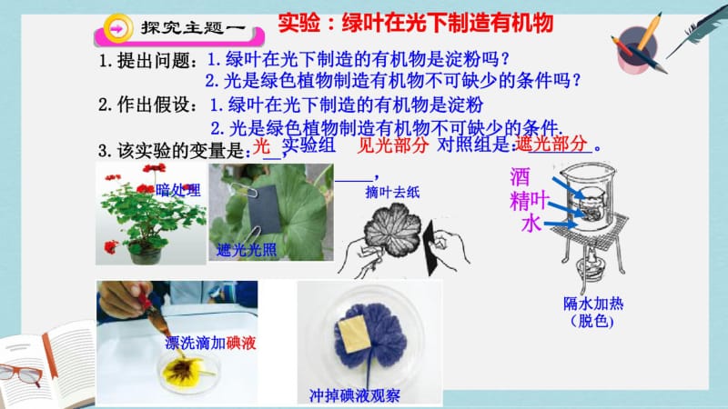 2019-2020年鲁科版生物六年级下册3.4《绿色植物是生物圈中有机物的制造者》课件1(共48张PPT).pdf_第3页