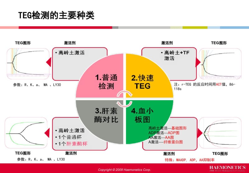 血栓弹力图.pdf_第2页