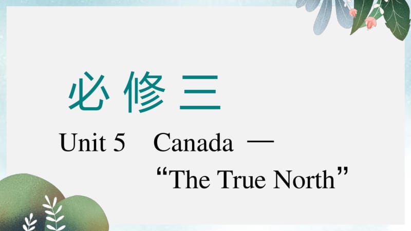 高考英语一轮复习Unit5Canada_“TheTrueNorth”课件新人教版必修3.pdf_第1页