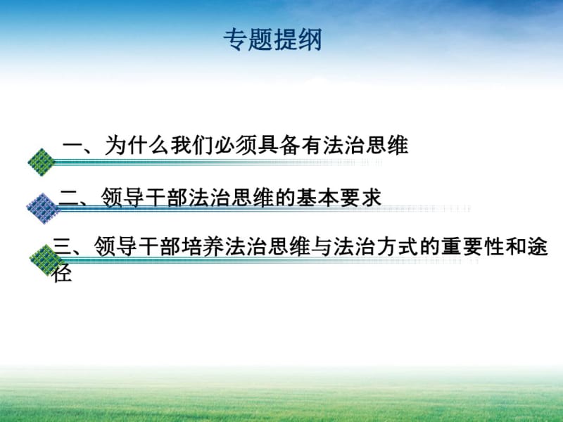 领导干部法治思维和法治方式.pdf_第2页