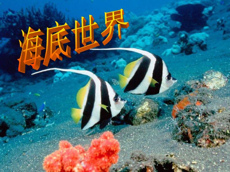 《海底世界》教学课件.pdf_第1页