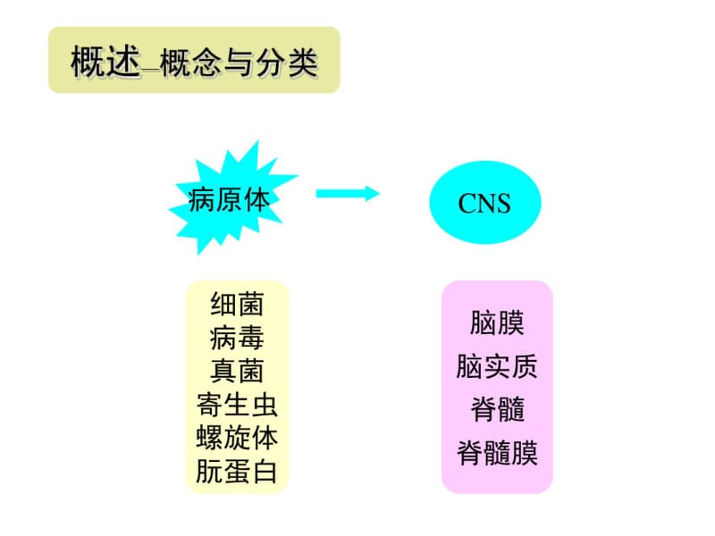 中枢神经系统感染性疾病.pdf_第3页