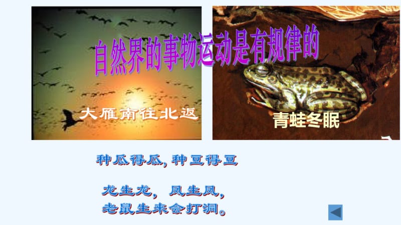 物质运动是有规律的.pdf_第3页