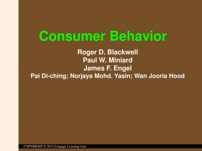 ConsumerBehaviorandConsumerResearch.pdf_第2页