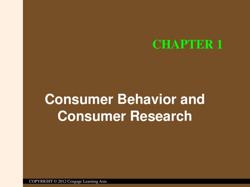 ConsumerBehaviorandConsumerResearch.pdf_第3页