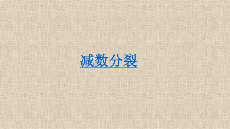 减数分裂..pdf_第3页