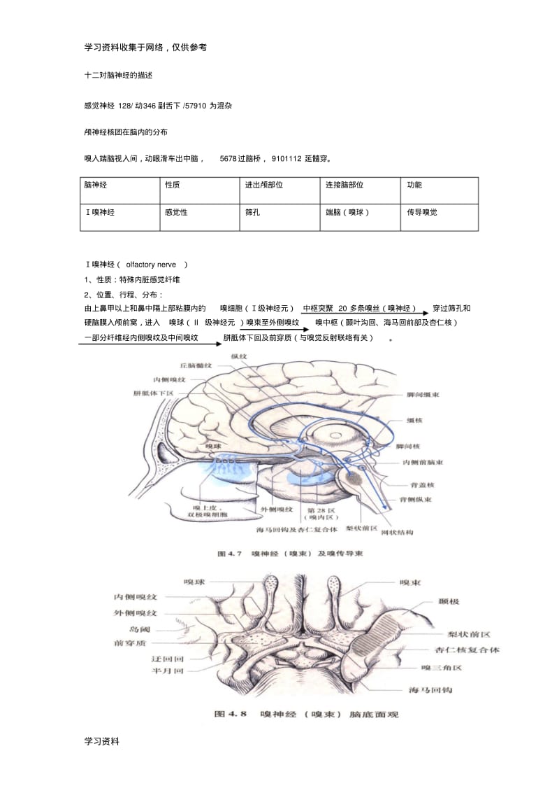 十二对脑神经整理版.pdf_第1页