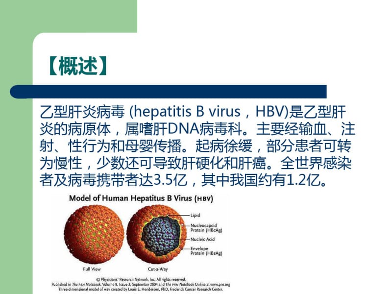 妊娠合并急性病毒性肝炎.pdf_第3页