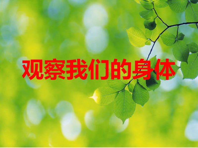 二年级下册科学《1.观察我们的身体》教科版.pdf_第1页