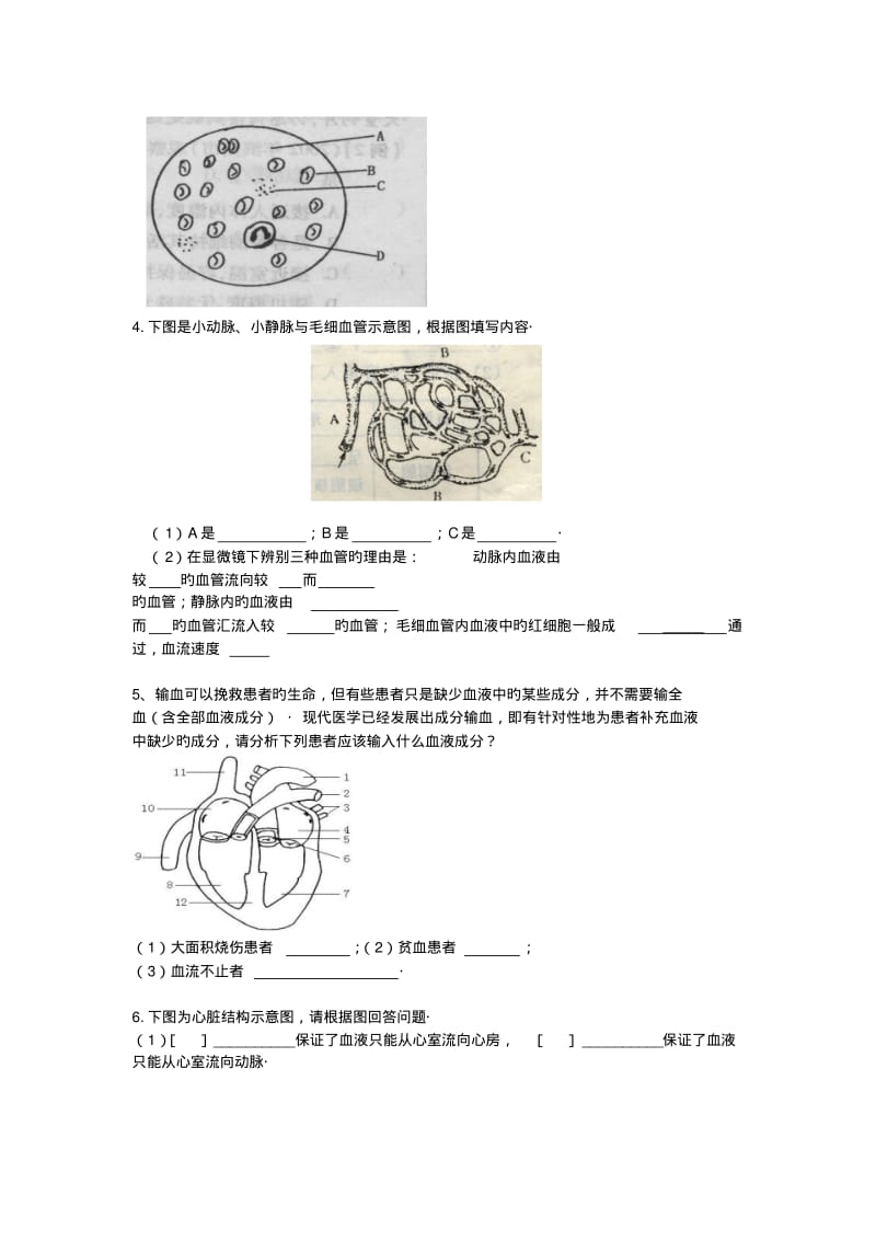 生物初一下北师大版4.9.人体的物质运输同步练习4.pdf_第2页