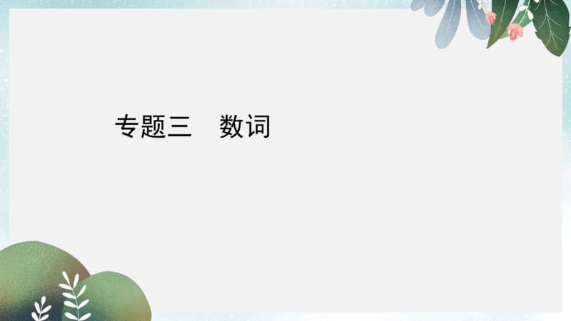 中考英语总复习专题三数词课件.pdf_第1页