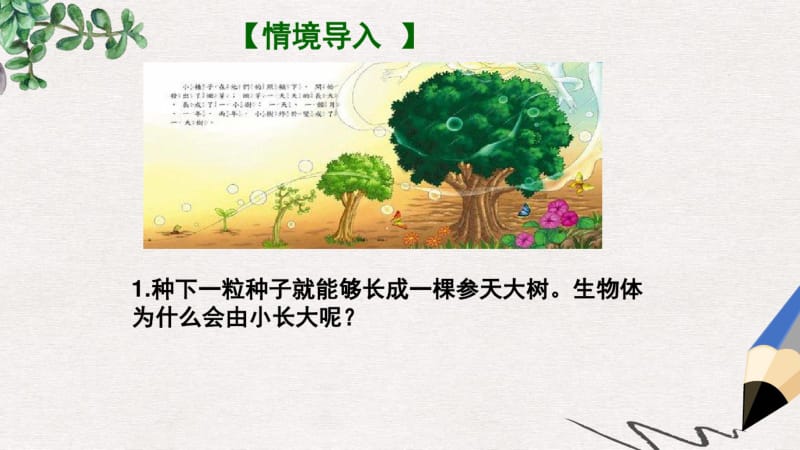 七年级生物上册2.2.1细胞通过分裂产生新细胞课件新版新人教版.pdf_第2页