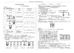 人教版九年级化学：混合气体成分探究专题(无答案).pdf