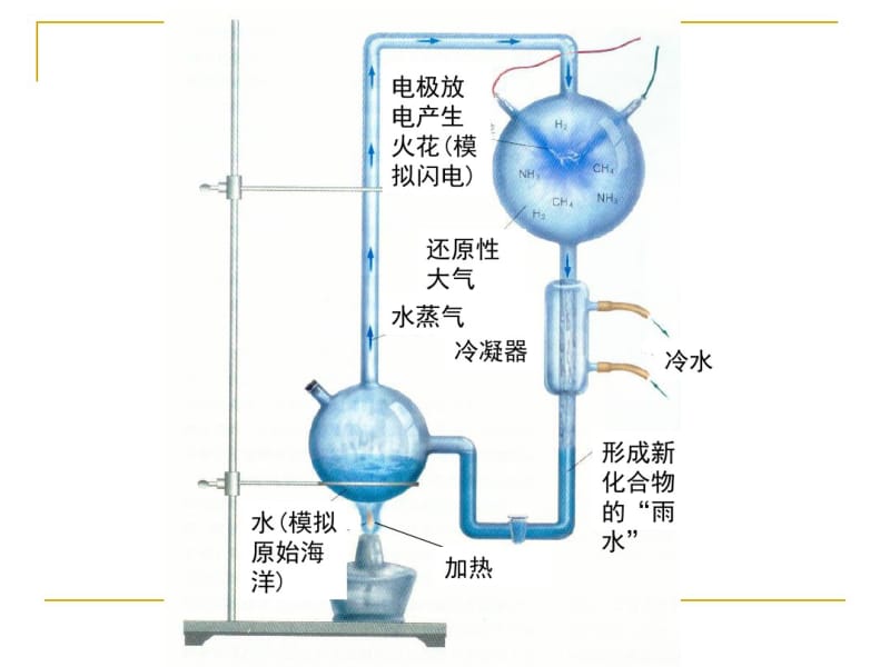 细胞的起源与进化.pdf_第3页