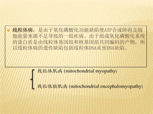 线粒体脑肌病介绍.pdf