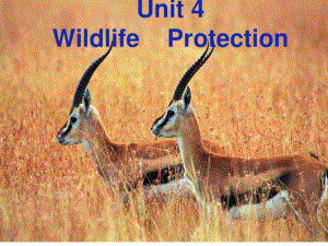 人教版高中英语必修二Unit4《Wildlifeprotection---Warmin.pdf