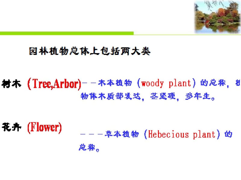 园林植物造景的基本形式课件.pdf_第2页