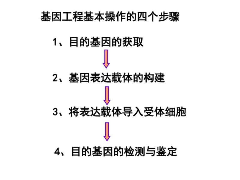 四目的基因的检测与表达产物的测定分析.pdf_第3页