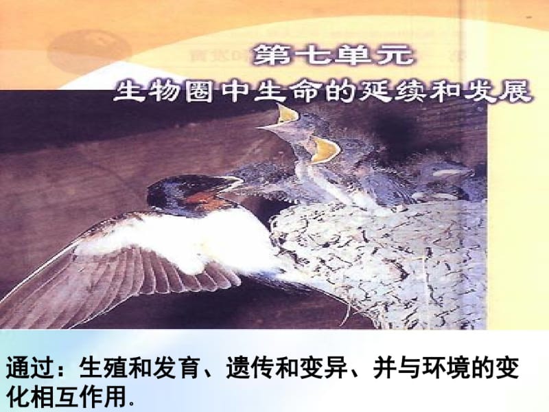 人教版生物八年级下册《植物的生殖》.pdf_第1页